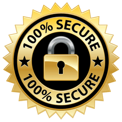 secure payment